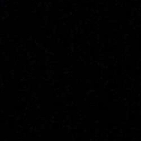 Meet your Posher, Isaiah - Picture 1 of 1